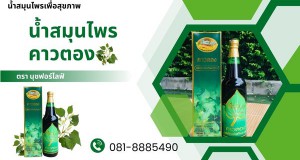 เว็บ 600-330
